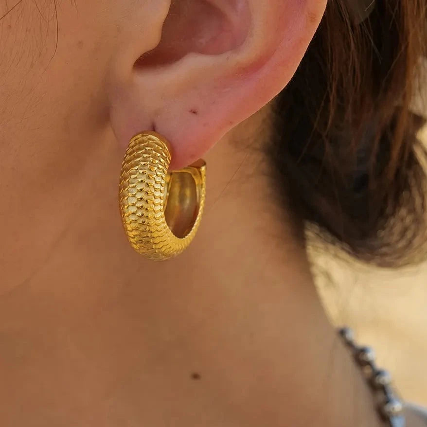 Shesha hoops