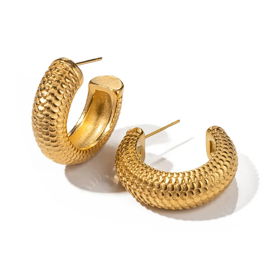 Shesha hoops